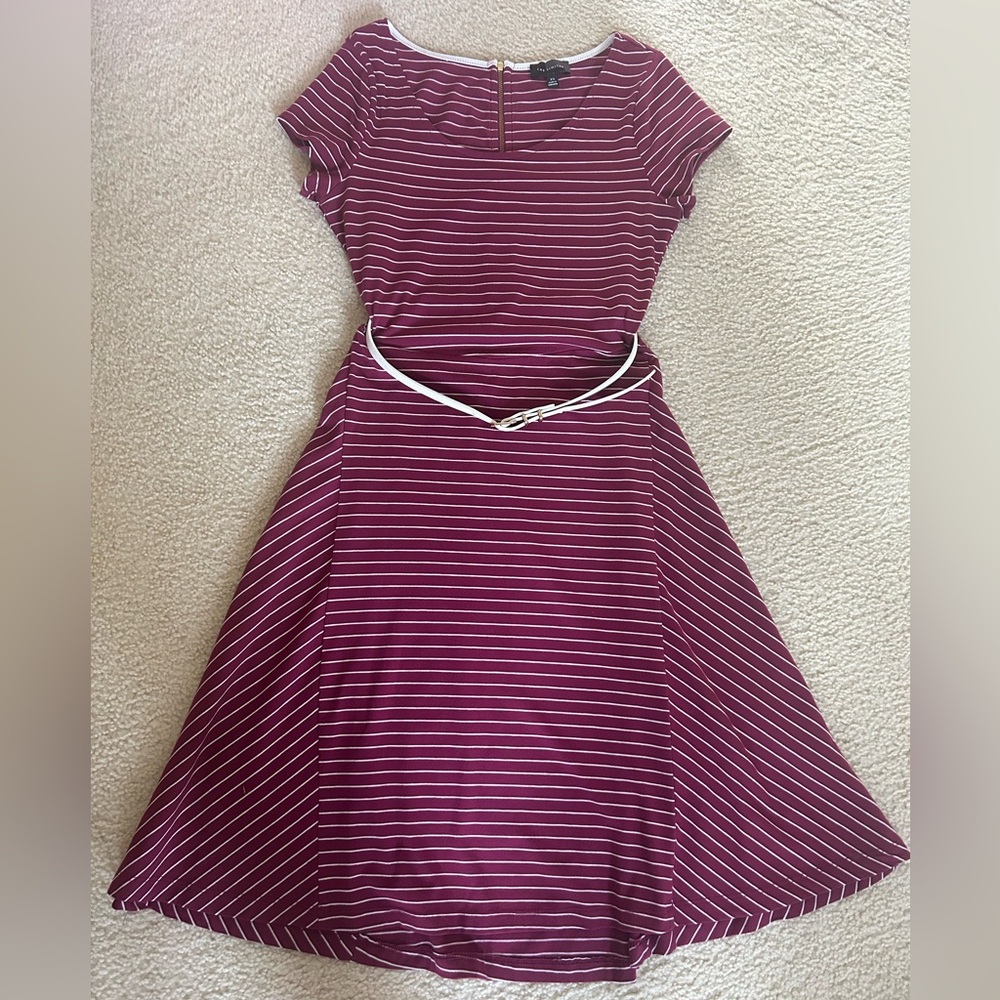 The Limited Burgundy Striped Midi Dress